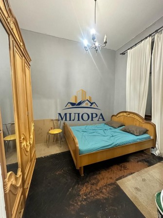 Оренда / Квартира / пл.Шандора Петефі, Центр, Ужгород - фото 1