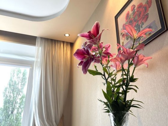 Затишна квартира від власниці Київ