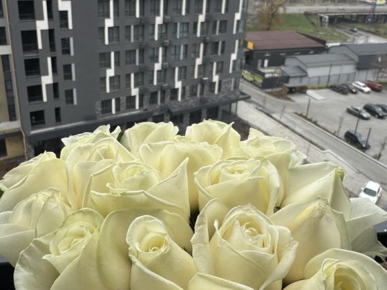 Здається квартира в новобудові Кропивницький