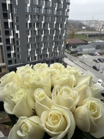 Здається квартира в новобудові - фото 1