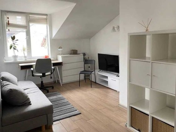 Здається квартира-студія на вул. Костя Левицького Львов