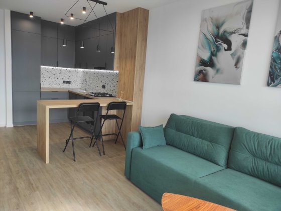 Оренда 1-кімнатної квартири в ЖК «Вільне місто» (вул. Буйка, 27). Від власника! Львов