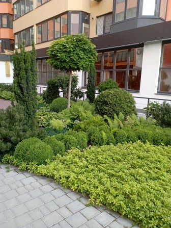 ЖК Малинки.Газ! АОГВ! 1 комнатная квартира евроремонт - фото 1