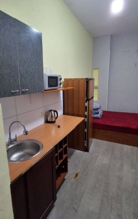 Сдам 1-ком. Серова / Разумовская. Можно на короткий срок. - фото 1