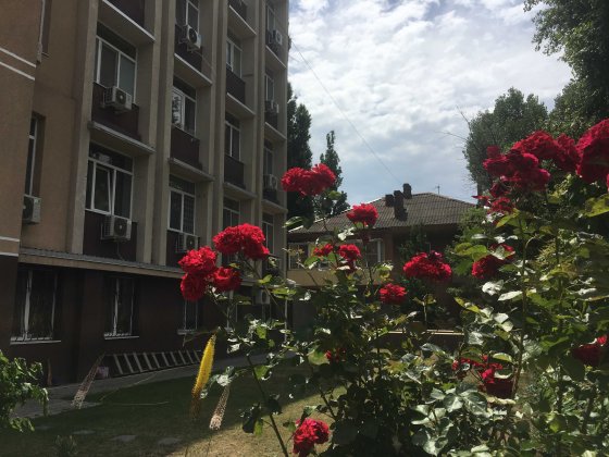 Здам дуууже економну по комунальним платежам квартиру в новому будинку Одеса