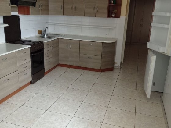 1-кімн Позняки,  Гришка 9, низк.поверх, генератор Киев