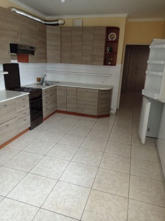 1-кімн Позняки,  Гришка 9, низк.поверх, генератор - фото 1