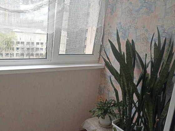 Оренда однокімнатної квартири Голосіївський район, вулиця Юлії Здановської  (Ломаносова) 83А Київ