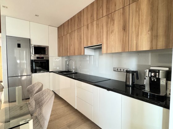 оренда ЖК Олександрія, 2 кімн квартира студіо, Скрипника, 48а Киев