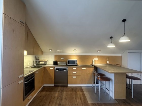 Оренда приватного будинку з газом, терасою і своїм двором Київ