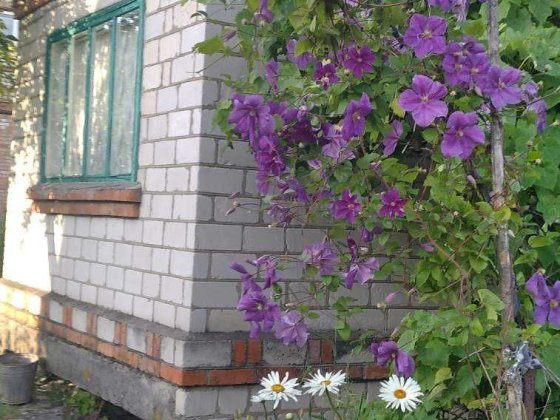 Земельна ділянка