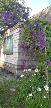 Земельна ділянка - фото 1