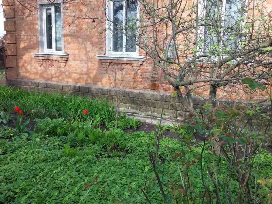 Продам будинок  в місті Олександрія