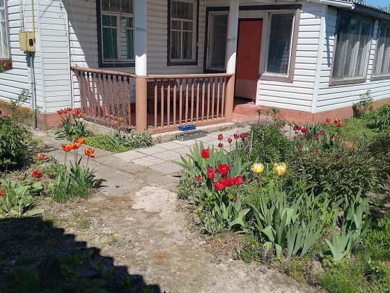 Продам цегляний будинок Чернігівська обл  від Києва 90 км Бобровиця