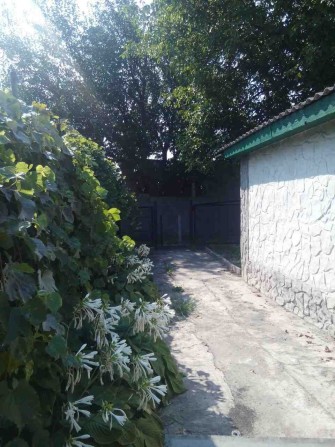 Продам дом біля води та лісу - фото 1