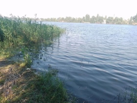Продам дачу бiля води за Власiвкою,за "Королiвським смаком",дорога Кременчук -Свiтловодськ Власовка