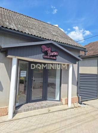 Продається житловий будинок з комерційними приміщеннями в м.Виноградів - фото 1