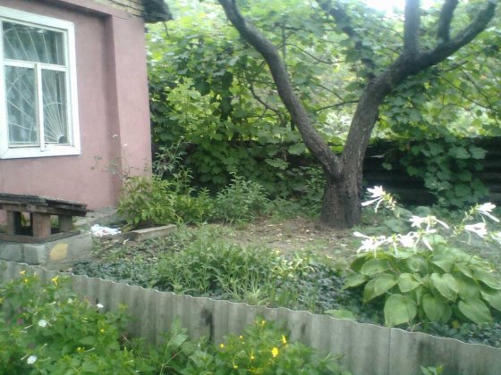 Дачний будинок в місті Кам'янське Кам'янське