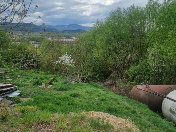 Продам дом у в копаня виноградивский район Виноградів