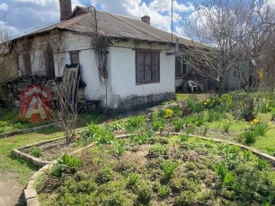 Компактний будинок у центрі Соц.міста з ділянкою та садом Кам'янське