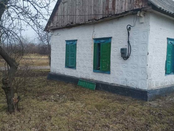 Продам дом в Елизаветовке . Кам'янське