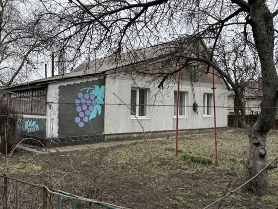 Продам великий будинок з землею 19 соток! Топ локація! Сертифікат! Каменское