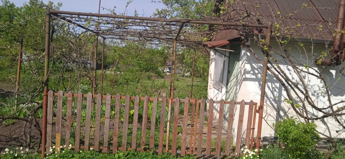 Сад-дача  верхні сади баглій  Каменское - фото 1