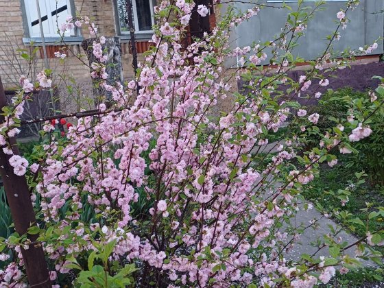 Комфортний будинок на затишній вулиці Городище