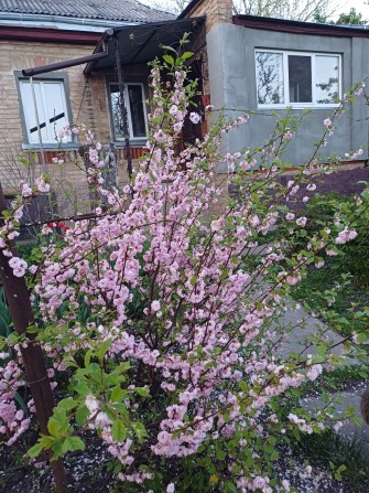 Комфортний будинок на затишній вулиці - фото 1