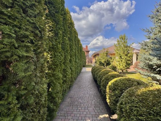 Затишний будинок біля лісу та озера Ландшафтний дизайн Гостомель