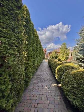 Затишний будинок біля лісу та озера Ландшафтний дизайн - фото 1