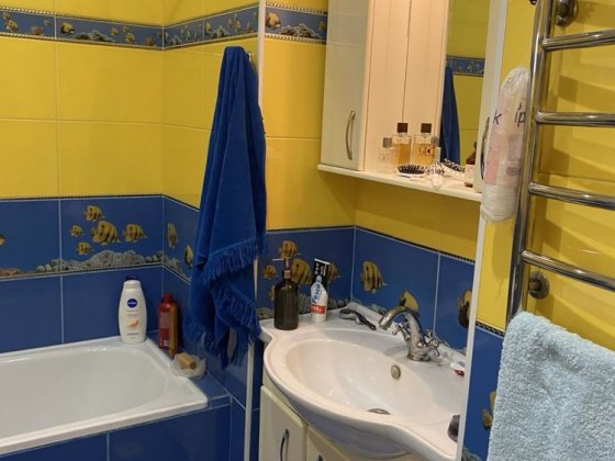 Продаютя полдома с хорошим ремонтом Измаил