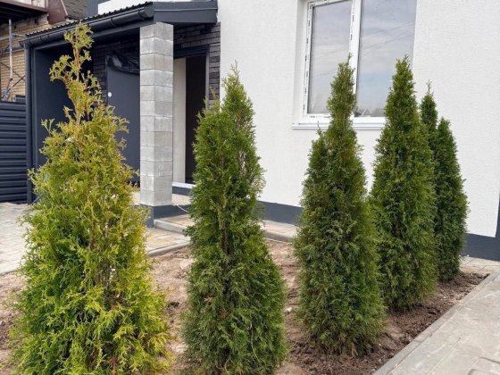 Продаж таунхаусу в Гостомелі на етапі будівництва Гостомель