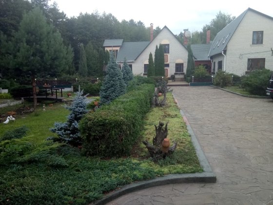Дім оазис в сосновому бору