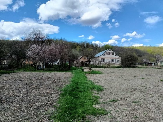 Здам в оренду будинок з ділянкою, с. Городище. Лубни