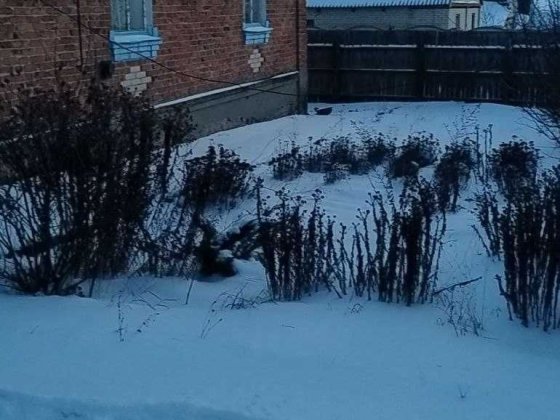 Продам кирпичный дом 96 метров с дополнительным паем, г. Люботин SM Люботин