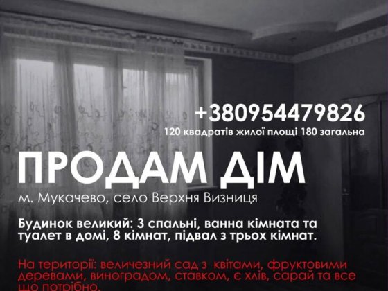 Продам будинок біля Мукачева Мукачеве