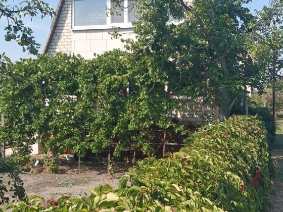 Продам дачный дом в жилом состоянии с запасом дров на зиму Павлоград