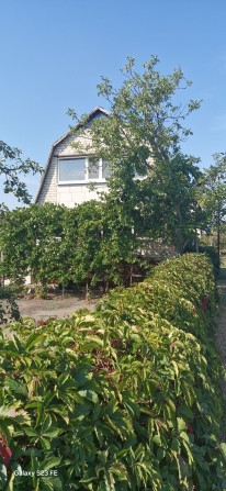 Продам дачный дом в жилом состоянии с запасом дров на зиму - фото 1