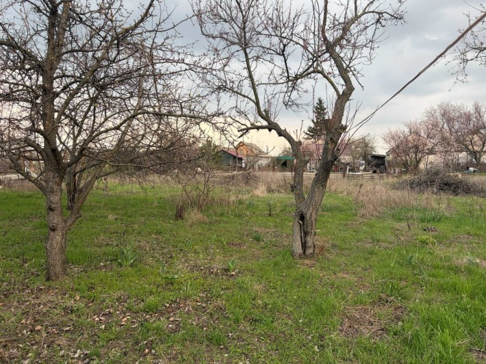 Продам будинок, велика ділянка - фото 1