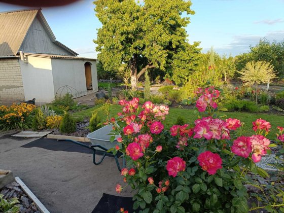 Продам дачу в районі ПЗТО Павлоград