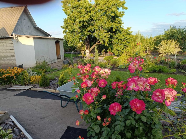 Продам дачу в районі ПЗТО - фото 1