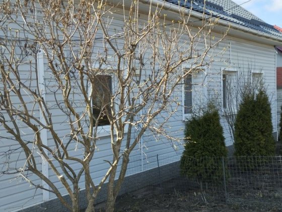 Двух этажный дом на два входа Прилуки