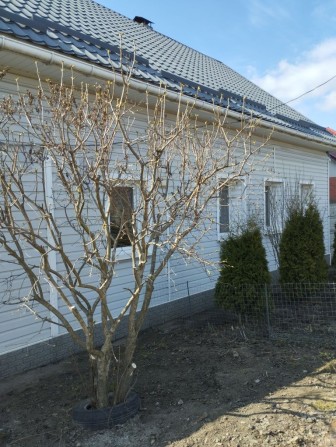 Двух этажный дом на два входа - фото 1