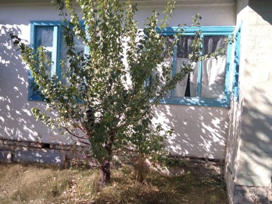 Літній Садовий будинок, дача Прилуки