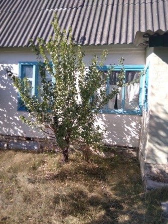 Літній Садовий будинок, дача - фото 1