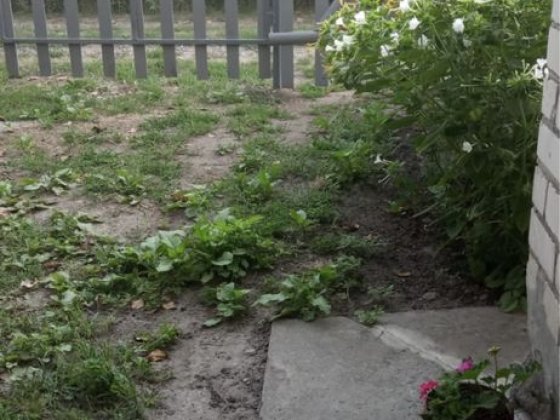 Продам дачу Росинка Світловодськ