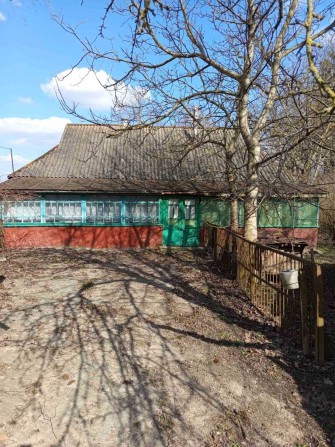 Газифікований будинок в с.Оріхівка - фото 1