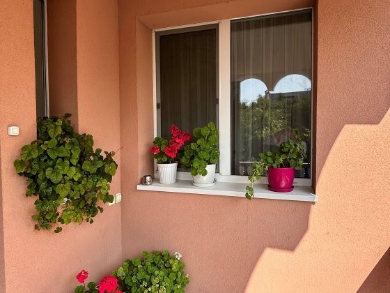 Просторий будинок в престижному районі міста! Хмельницкий