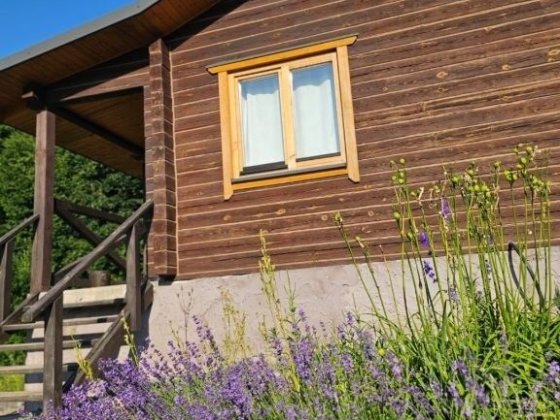 Продаж будинок (дача) Давидківці Хмельницький